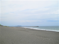 5月の茅ヶ崎海岸は静かで、海風が心地よかった