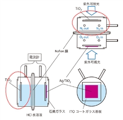 光燃料電池の概念図（千葉大学）