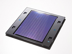 フォトマスク関連市場の動きが活発化（写真は大日本印刷のEUVフォトマスク）